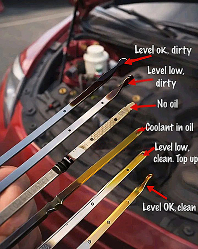 Visual guide for engine oil – the lifeblood of your car.